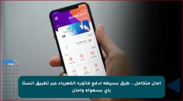 أمان متكامل.. طرق بسيطة لدفع فاتورة الكهرباء عبر تطبيق إنستا باي بسهولة وأمان